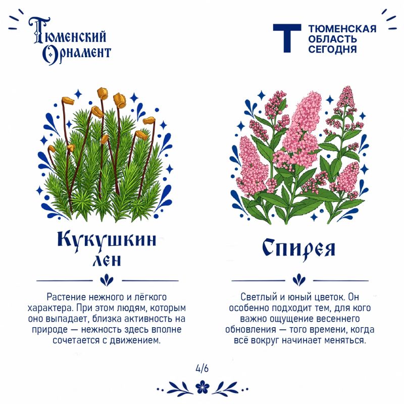 У каждого растения – своё настроение У каждого растения – своё настроение