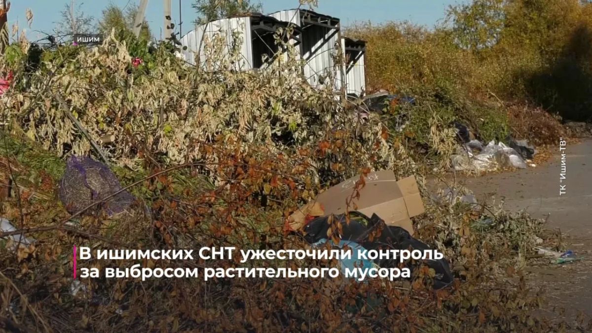 За последние 1,5 месяца в Ишиме составлено около 20 протоколов по факту складирования растительного мусора в местных СНТ