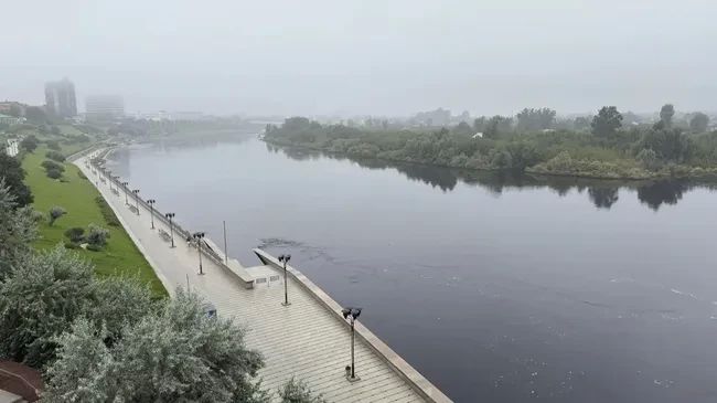 Тура в Тюмени за сутки прибавила 26 сантиметров