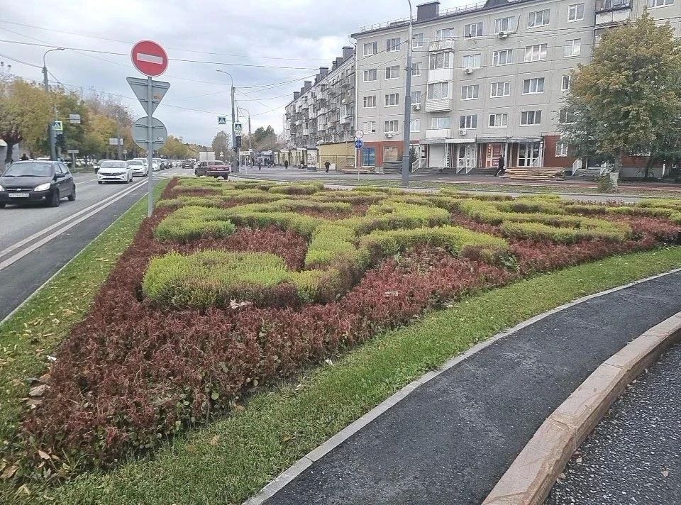 Тюменские цветники готовятся к зимовке Тюменские цветники готовятся к зимовке