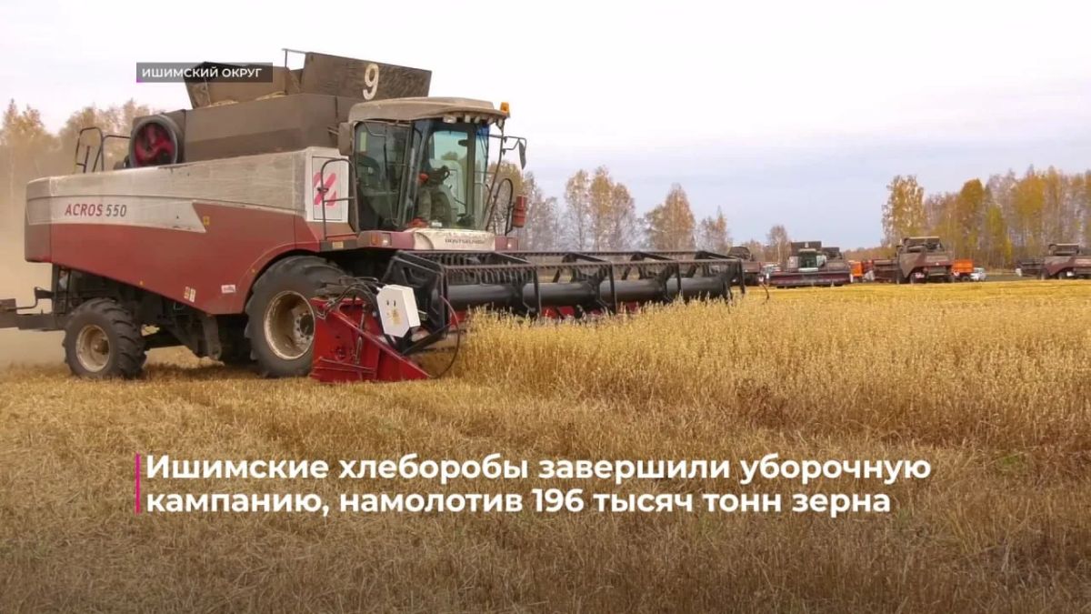 По сбору картофеля и овощей Тюменская область лидирует в Уральском федеральном округе По сбору картофеля и овощей Тюменская область лидирует в Уральском федеральном округе