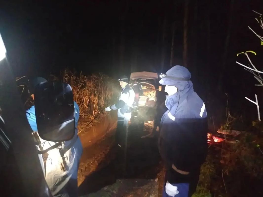 Беременная тюменка и молодой человек увязли в болоте в тюменском лесу