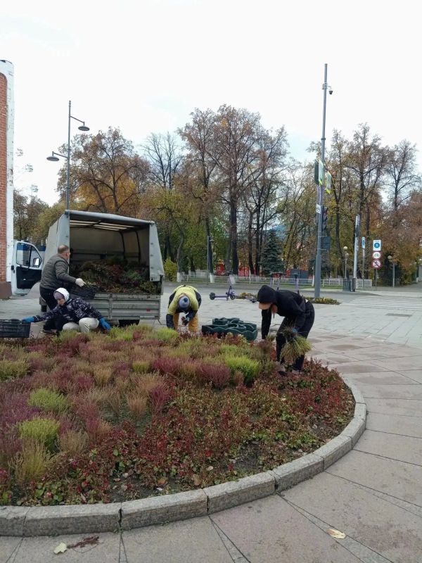 Тюменские цветники готовятся к зимовке