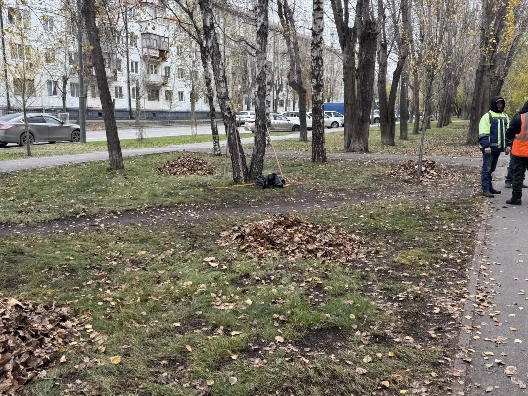 «Тропа без пакетов»: в Калининском округе в рамках фестиваля «Чистый город — общее дело» прошла экологическая акция