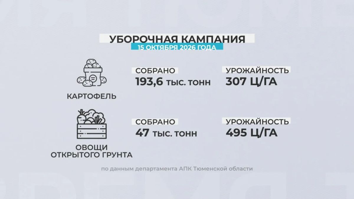 По сбору картофеля и овощей Тюменская область лидирует в Уральском федеральном округе