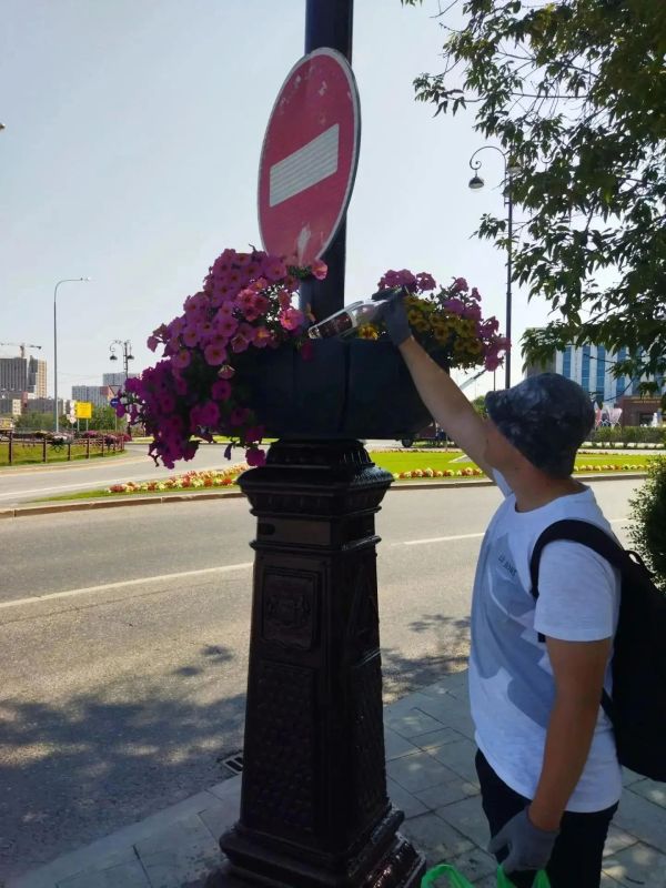 Тюменские цветники готовятся к зимовке Тюменские цветники готовятся к зимовке