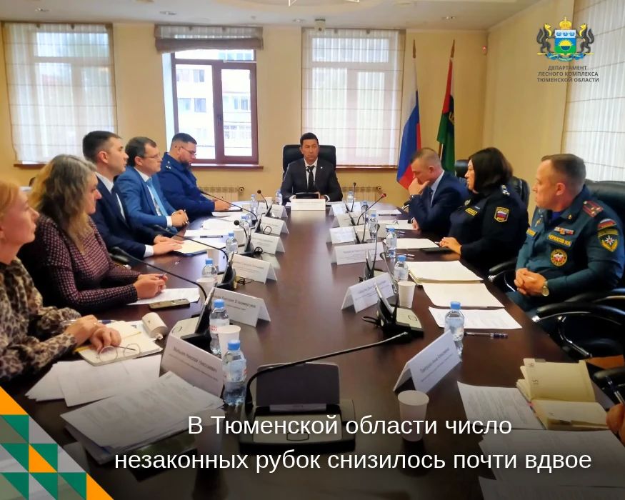 В Тюменской области становится меньше незаконных рубок