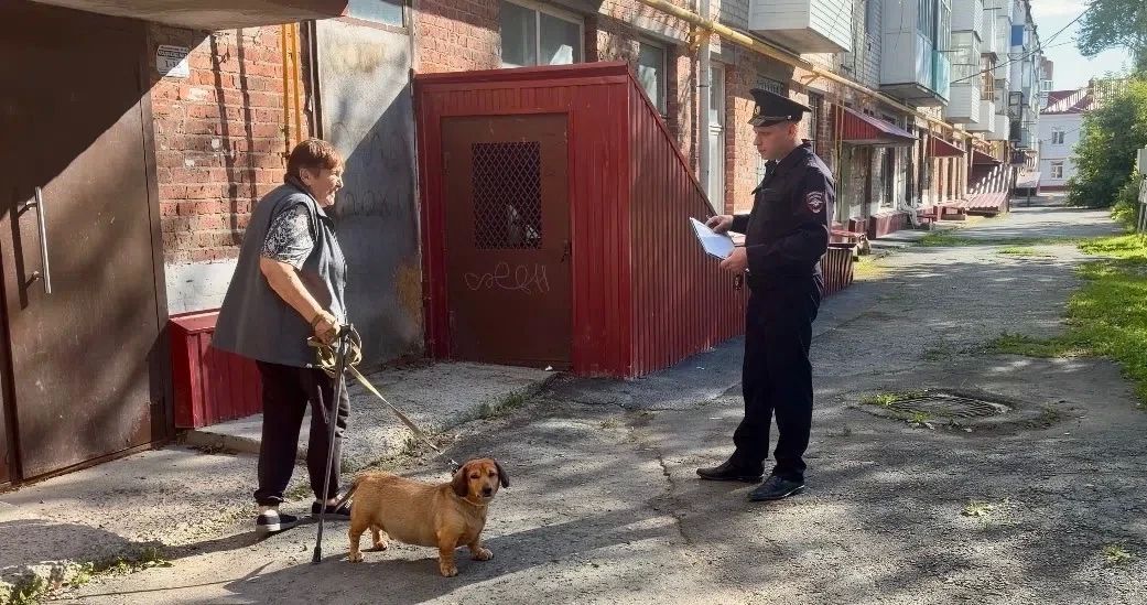 Участковый уполномоченный полиции осуществляет надзор за общественным порядком, проводит профилактику правонарушений, принимает обращения граждан, проводит разъяснительные беседы и содействует в разрешении конфликтных... Участковый уполномоченный полиции осуществляет надзор за общественным порядком, проводит профилактику правонарушений, принимает обращения граждан, проводит разъяснительные беседы и содействует в разрешении конфликтных...
