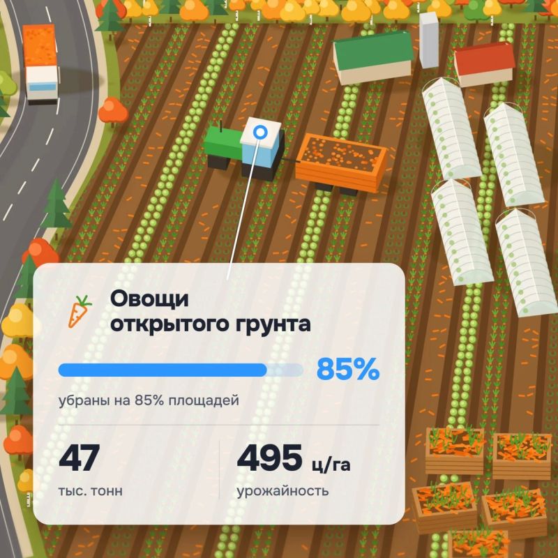 Урожай почти собрали — самое время подвести первые итоги Урожай почти собрали — самое время подвести первые итоги