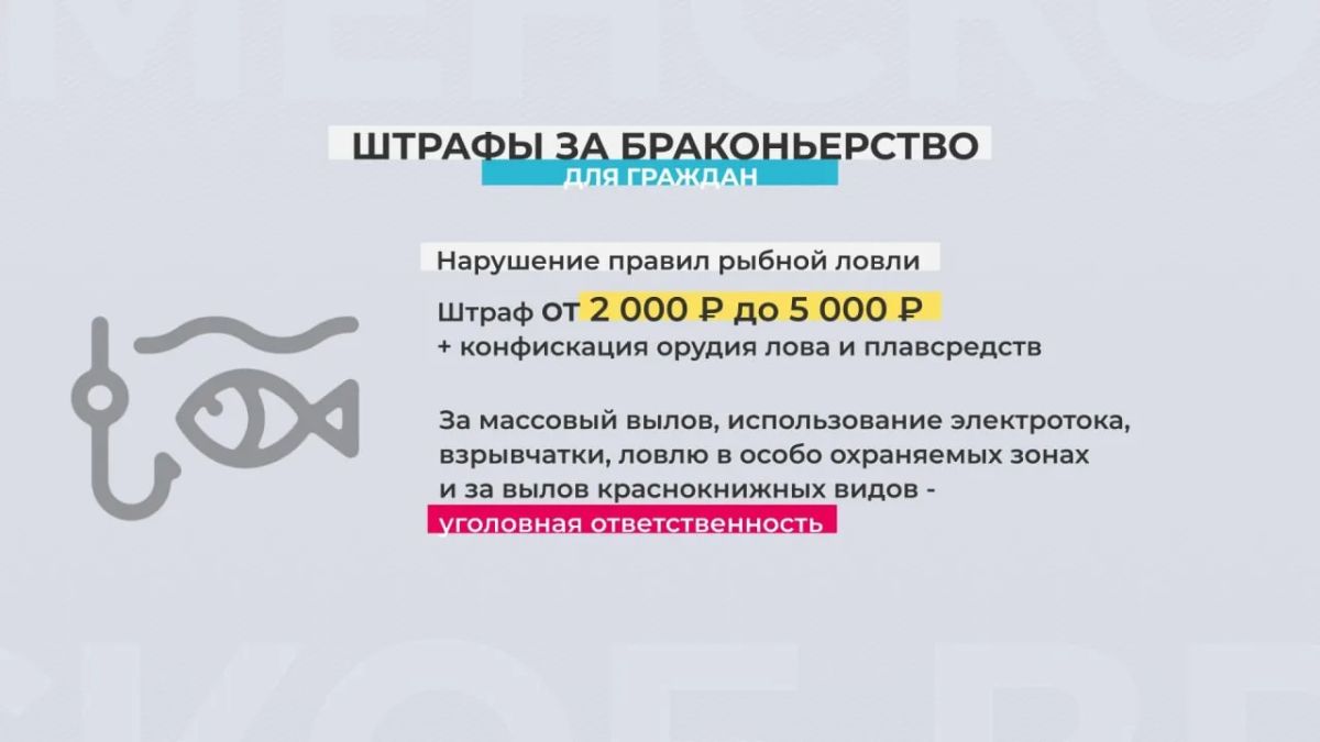 За нарушение правил охоты предусмотрены штрафы от 500 рублей до 4000 с возможной конфискацией оружия или лишением права охоты на срок до 2 лет За нарушение правил охоты предусмотрены штрафы от 500 рублей до 4000 с возможной конфискацией оружия или лишением права охоты на срок до 2 лет
