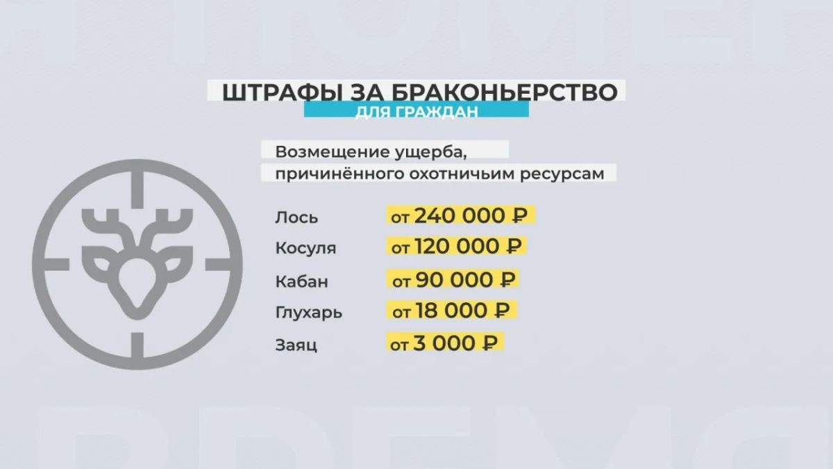 За нарушение правил охоты предусмотрены штрафы от 500 рублей до 4000 с возможной конфискацией оружия или лишением права охоты на срок до 2 лет За нарушение правил охоты предусмотрены штрафы от 500 рублей до 4000 с возможной конфискацией оружия или лишением права охоты на срок до 2 лет