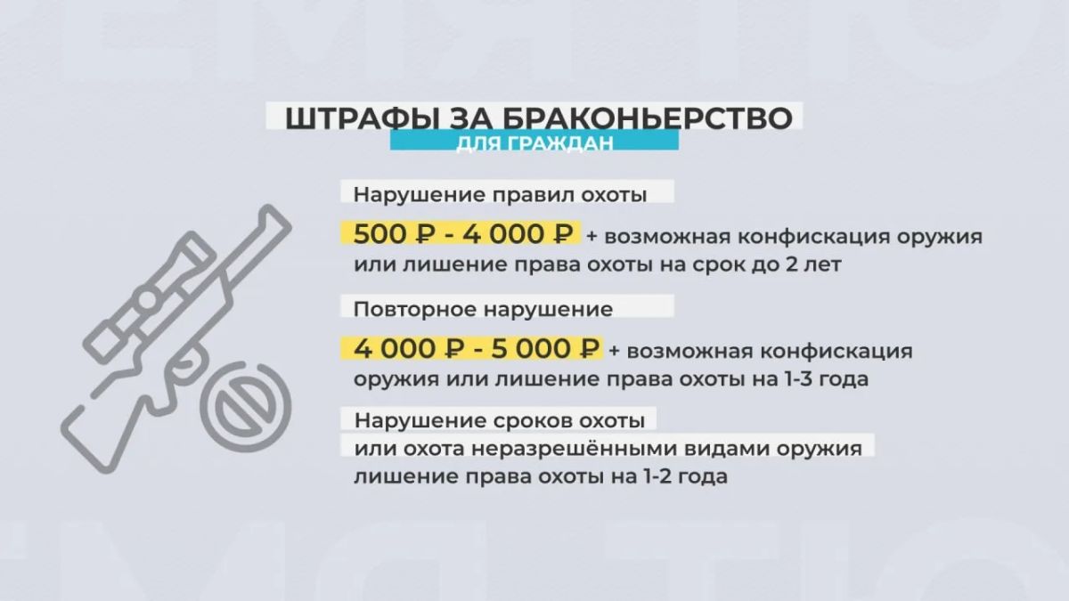 За нарушение правил охоты предусмотрены штрафы от 500 рублей до 4000 с возможной конфискацией оружия или лишением права охоты на срок до 2 лет