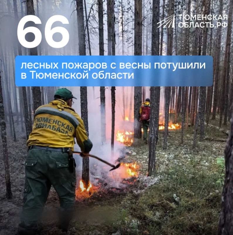 96,7% возгораний ликвидировали в течение первых суток после обнаружения