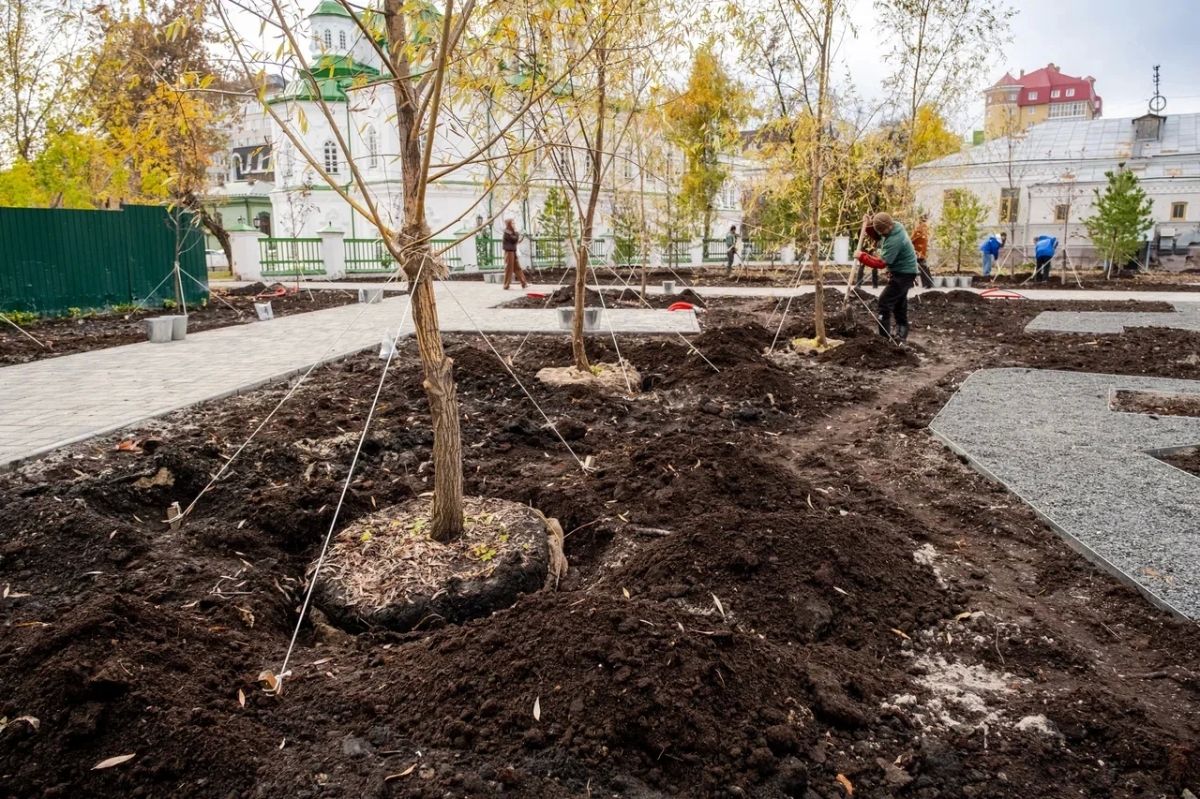 В историческом центре Тюмени появится новое зеленое пространство В историческом центре Тюмени появится новое зеленое пространство