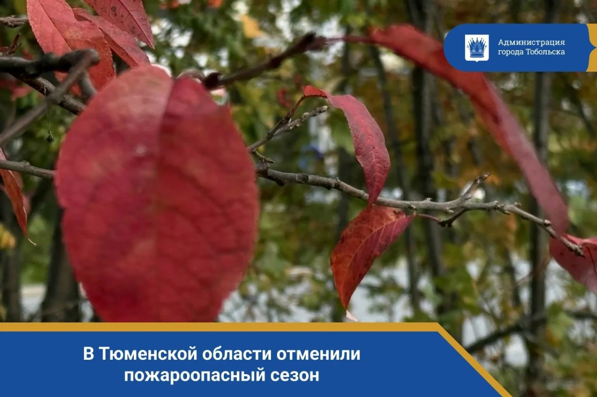 В Тюменской области отменили пожароопасный сезон