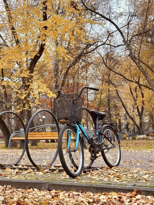 Припаркуй суету. Почувствуй осень!