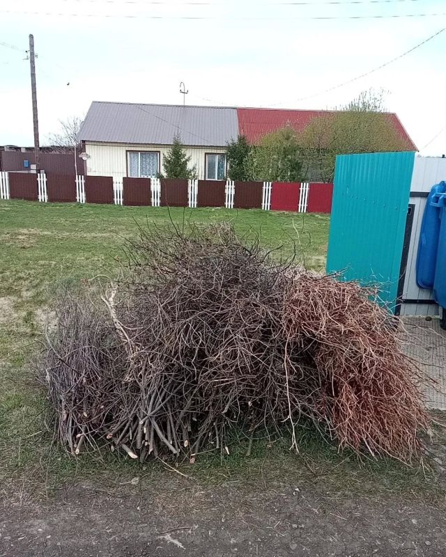 Главные правила сезонной уборки от Тюменского экологического объединения Главные правила сезонной уборки от Тюменского экологического объединения