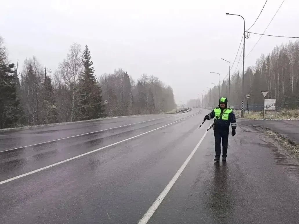 Мокрый снег, дождь и сильный ветер ожидаются в Тюменской области 22 октября