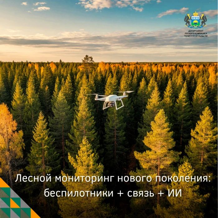 Как наблюдать за состоянием лесов на огромных территориях, где нет дорог и мобильной связи?