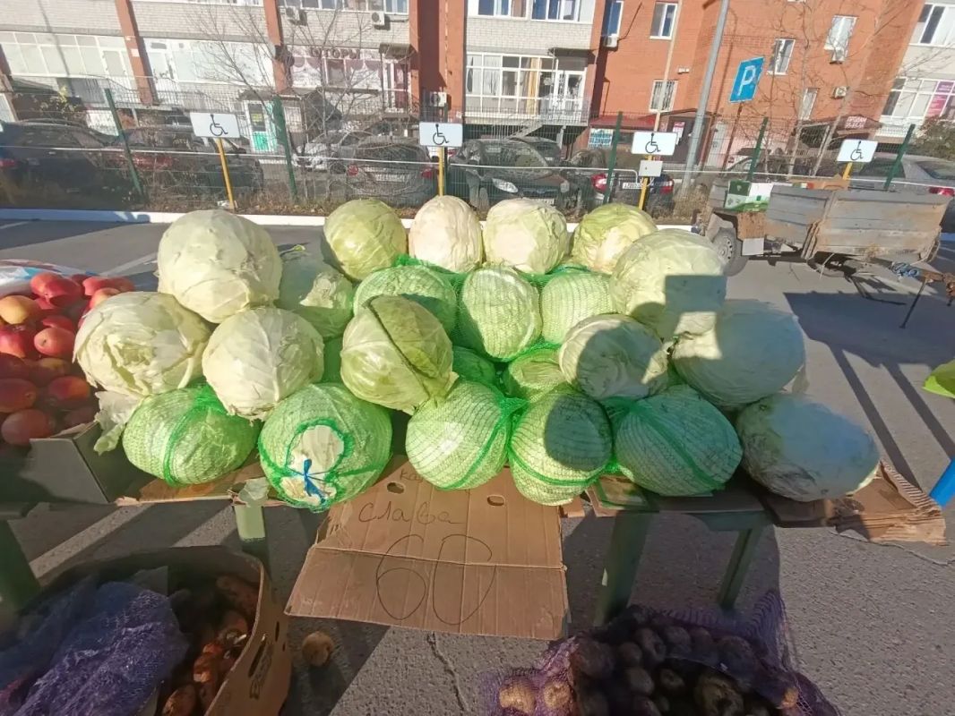 проезд Солнечный, 11 проезд Солнечный, 11