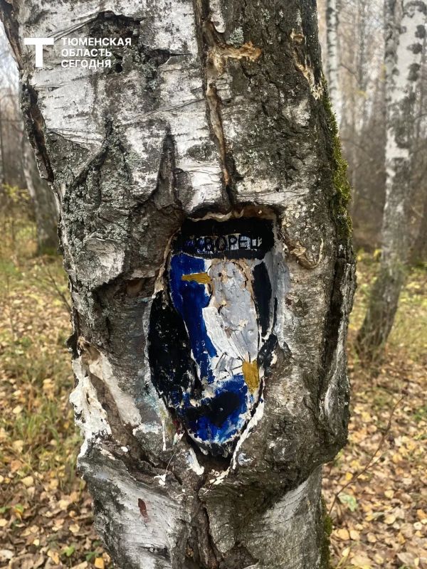 Осеннее искусство в Затюменском парке Осеннее искусство в Затюменском парке
