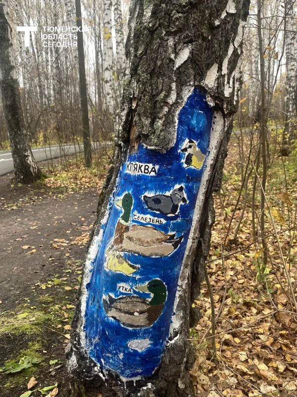 Осеннее искусство в Затюменском парке Осеннее искусство в Затюменском парке