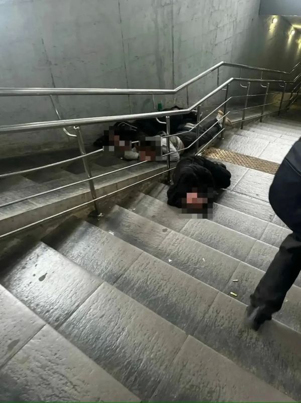 «Это же общественное место!» — тюменка возмущена изза бездомных в подземном переходе