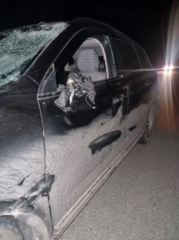 Лось выбежал на трассу: ДТП в Голышмановском округе