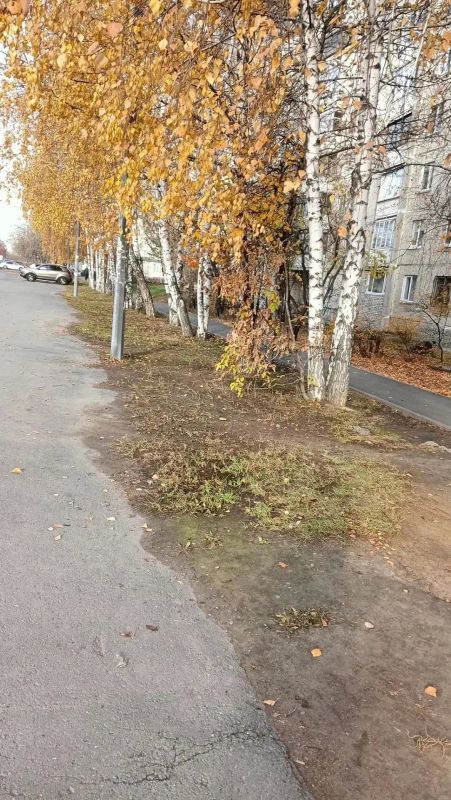 Сотрудники тюменской школы № 69 приняли участие в фестивале «Чистый город — общее дело» Сотрудники тюменской школы № 69 приняли участие в фестивале «Чистый город — общее дело»
