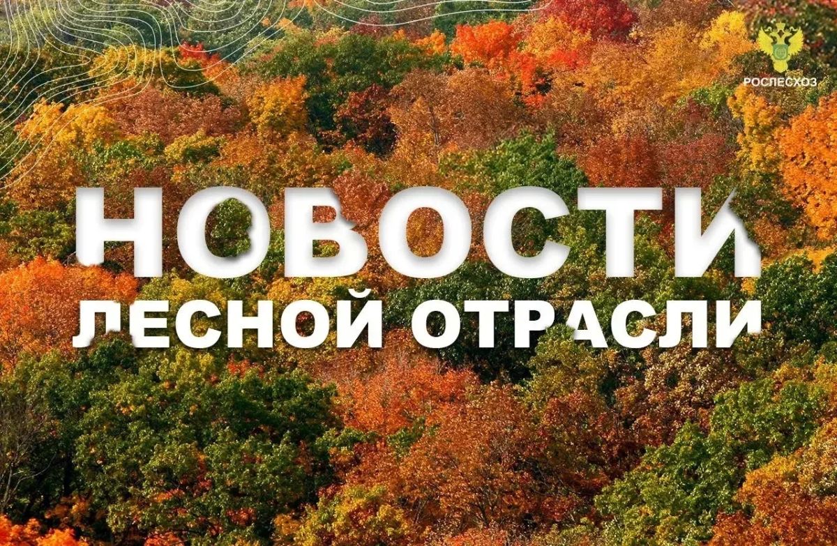 Интерфакс: Почти все лесные пожары в Тюменской области в 2026 году потушили за сутки