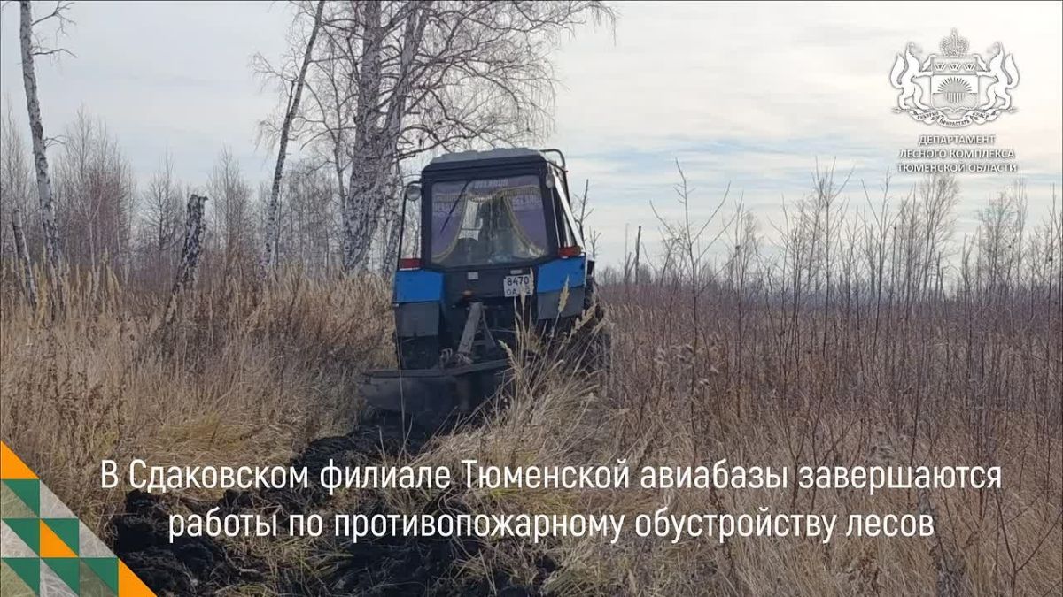 Леса региона готовят к следующему пожсезону