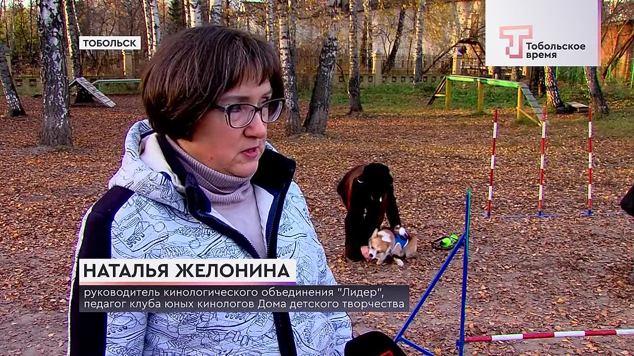Тобольские школьники побывали в клубе юных кинологов