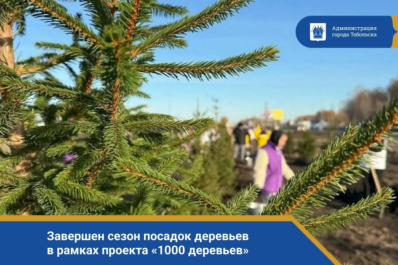 Завершен сезон посадок деревьев в рамках проекта «1000 деревьев», который реализуется компанией СИБУР с 2021 года